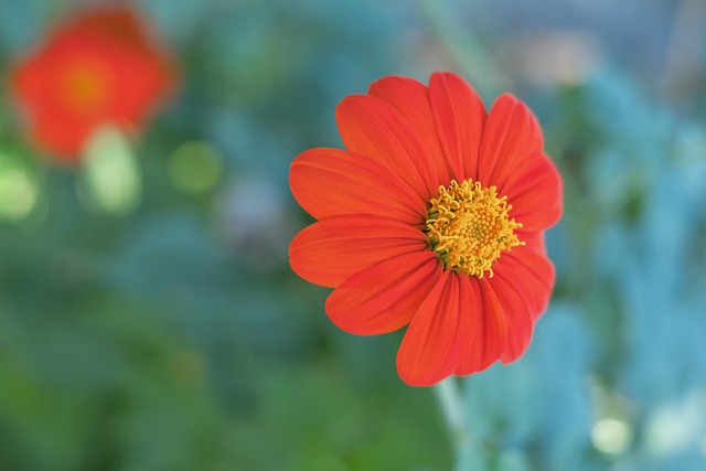 最终导致球 最终导致球