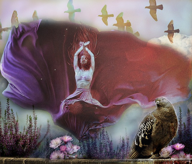 仅增强了队 仅增强了队