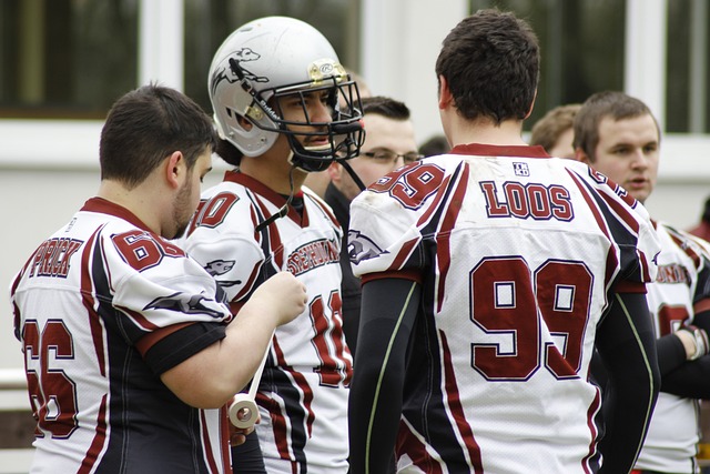 荣誉的追求 荣誉的追求