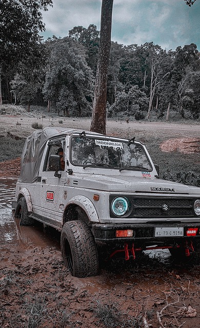 並在歷史長 並在歷史長