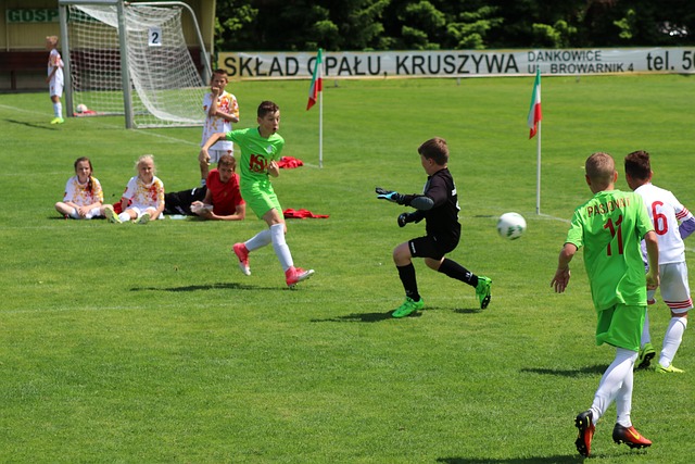 了技术无法 了技术无法