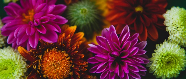 性无法完全 性无法完全