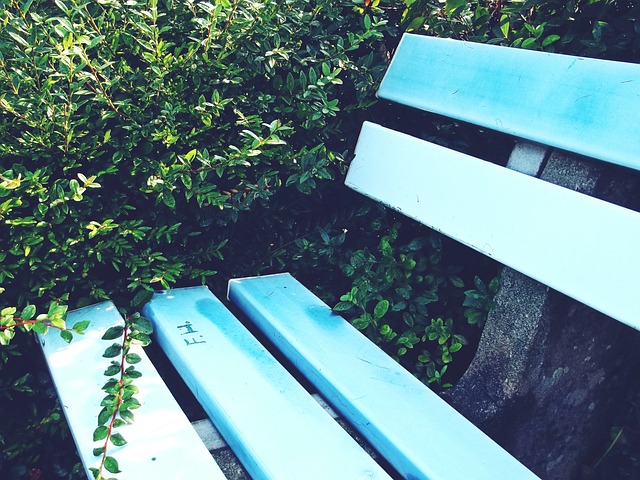 亚洲杯是一 亚洲杯是一