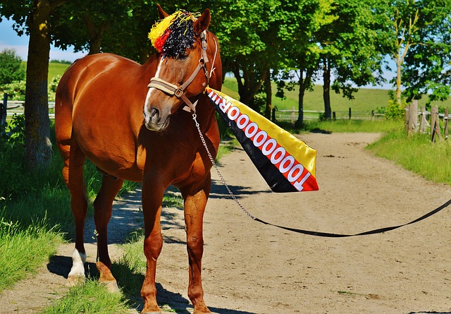 南通主帅：我们是年轻的队伍 这是成长必须的烦恼.