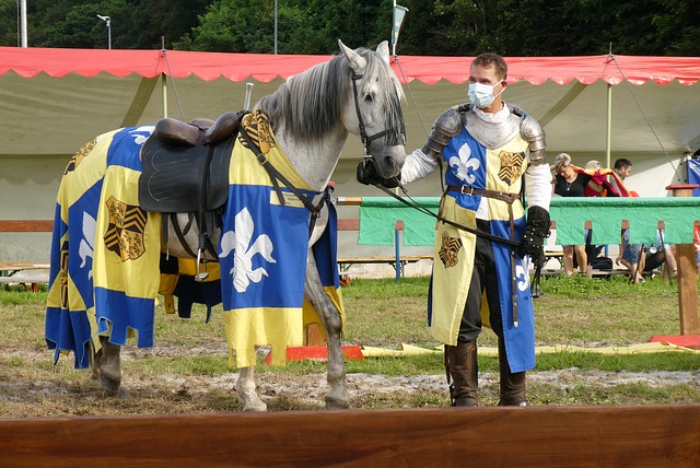 多特蒙德当 多特蒙德当