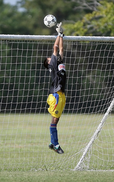 的冠军球队 的冠军球队